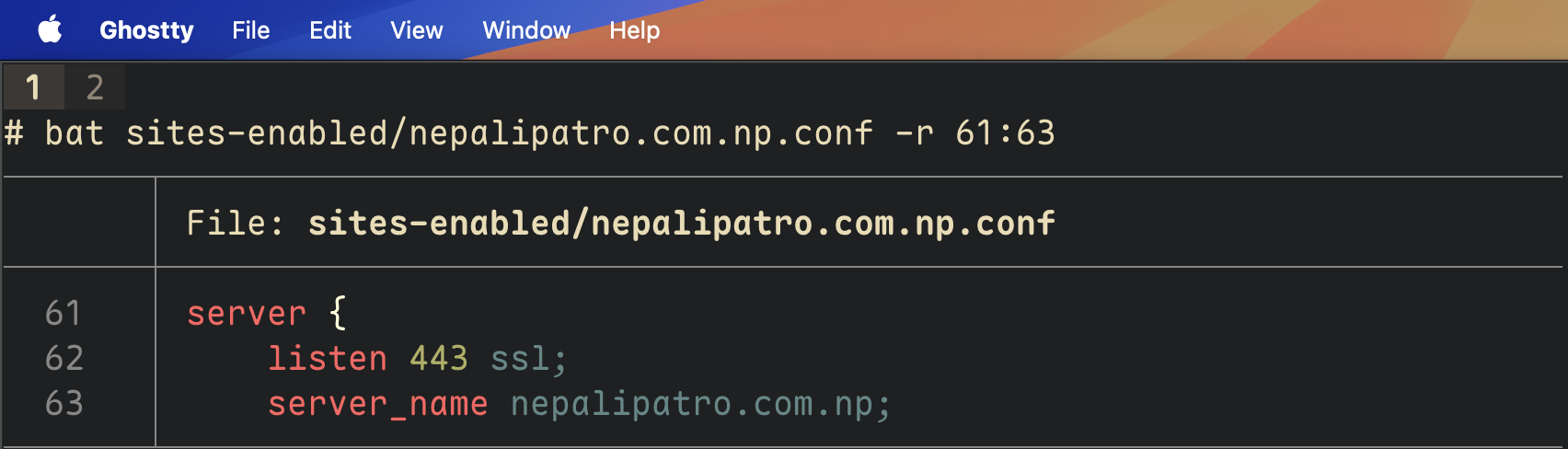 genius/blogs/421_np_nginx.png